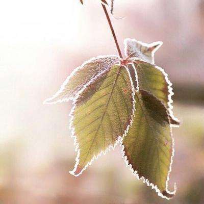 快彩乐首页app下载